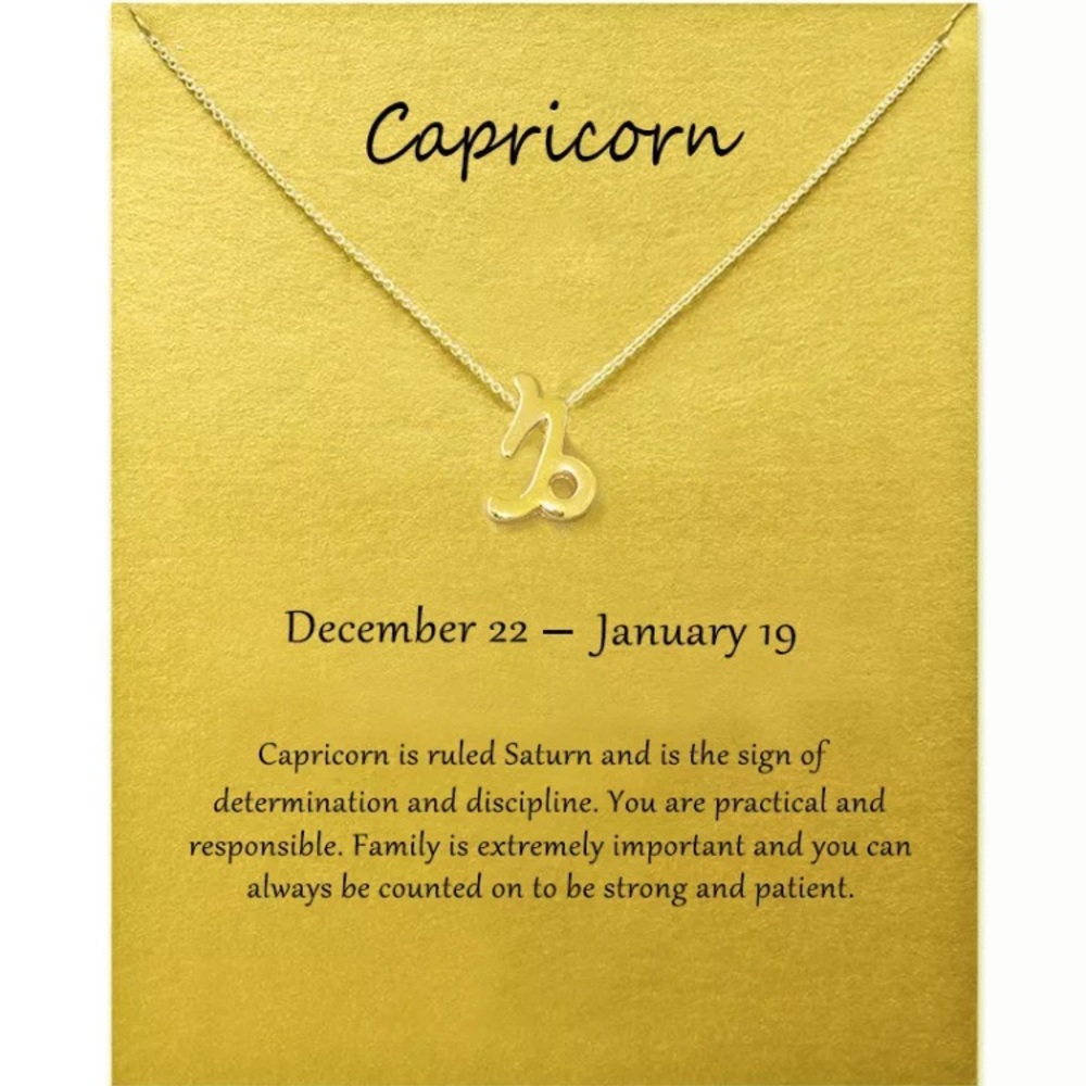 Capricorn ♑️ Zodiac Chains Necklace